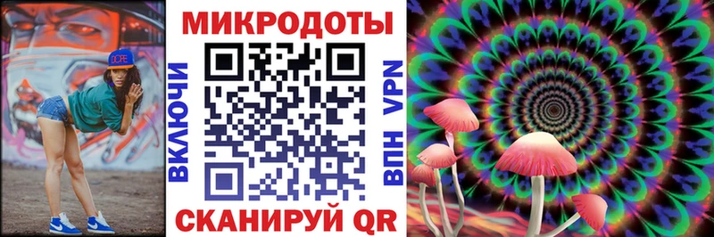 купить наркотики сайты  МЕГА маркетплейс  Галлюциногенные грибы Psilocybe  Купино 
